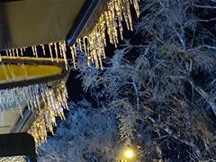 -长春公园(普阳街道)