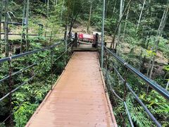 -石台牯牛降景区