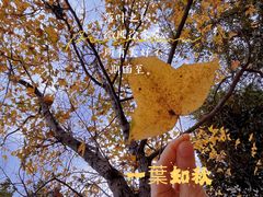 -同里国家湿地公园