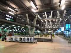 -Magic Food Point(Airport Street food)