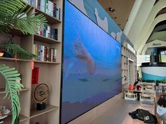 -抱抱地球咖啡馆(国家海洋博物馆店)