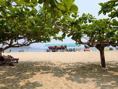 -亚龙湾中心广场