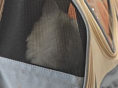 -申普宠物医院·眼科·心内科·影像科(普陀分院)
