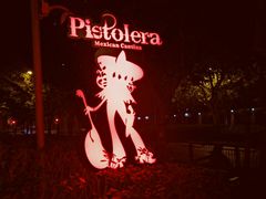 -Pistolera Mexican Cantina女枪手墨西哥餐厅(碧云路店)