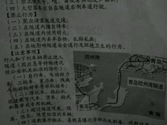 -胶州湾海底隧道