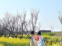 -杭州湾海上花田景区