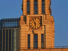 -上海吴淞炮台湾国家湿地公园