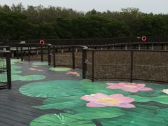 -大湾区中央湿地公园