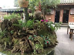 -青城甲(青城山店)