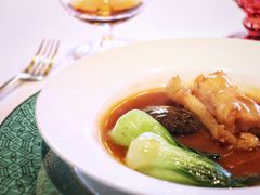 鲍汁花菇扣鱼胶-三号黄浦会Canton Table