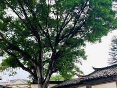 -朱家花园