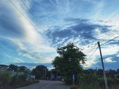 -大岗仙庙烧鸡(花东店)