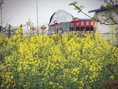 -小鱼草莓采摘园农家乐·小鱼餐厅
