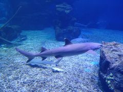 -多彩贵州城极地海洋世界