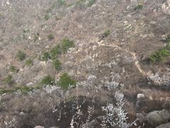 -天津盘山风景名胜区