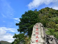 -百色大石围天坑群