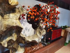 -福照楼汽锅鸡·云南菜(护国路店)
