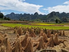 -万峰林风景区