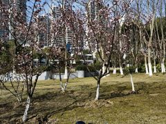 -白塘生态植物园