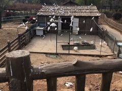 -无锡动物园·太湖欢乐园