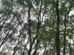 -道教老君洞