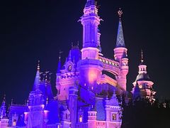 -迪士尼小镇
