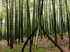 -藏龙百瀑风景区