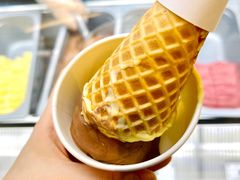 -Sunflour(来福士店)