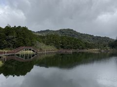 -海南热带雨林国家公园吊罗山景区