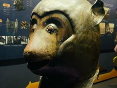 -广西壮族自治区博物馆