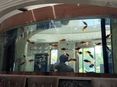 -诺贝尔一诺口腔医院(雁塔院区)
