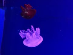 -石林冰雪海洋世界