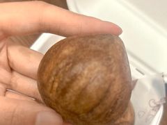 -Tomado绿色烘焙(大尧三路店)