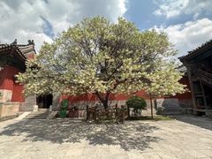 -五台山风景名胜区-罗睺寺