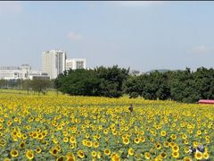 -光明小镇欢乐田园