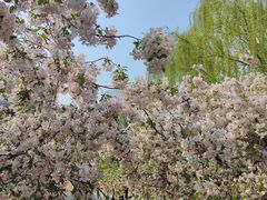 -元大都城垣遗址公园