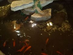 -鸥迪足道(湖南示范店)