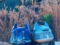 -西涌国际滨海旅游区