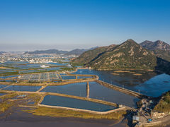 -花岙岛