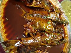 -水库活鱼馆(于桥水库店)