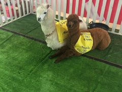 -远洋未来广场(育慧北路店)