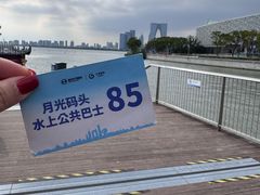 -金鸡湖游船(月光码头)
