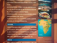 -上海海洋水族馆