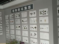-米果果小镇