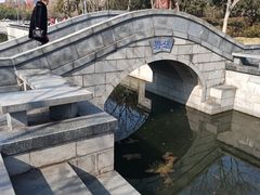 -蠡湖大桥公园