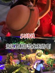 -恐龙探索乐园(磁器口店)