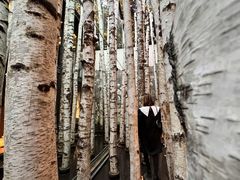 -Metal hands·铁手咖啡