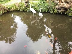 -房湖公园