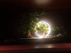 -聆耳·采耳·按摩·SPA(会展中心店)