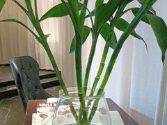 -时间仓(月湖公园店)